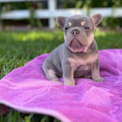 WhatsApp Image 2025-02-16 at 02.53.36_250c8d6d